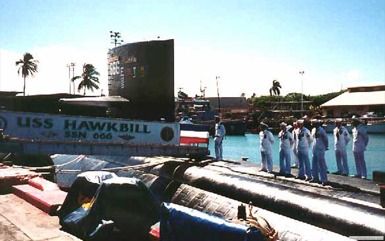 Hawkbill (SSN-666)-16