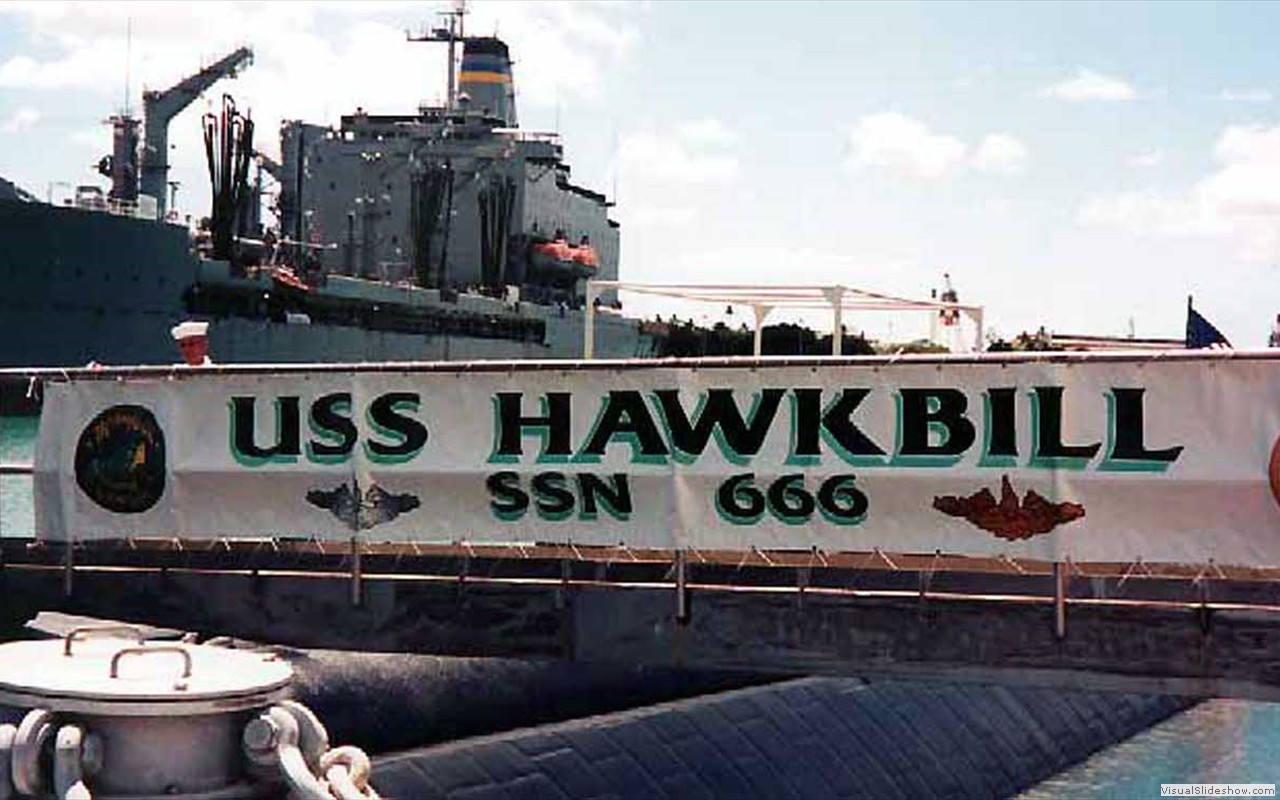 Hawkbill (SSN-666)-18